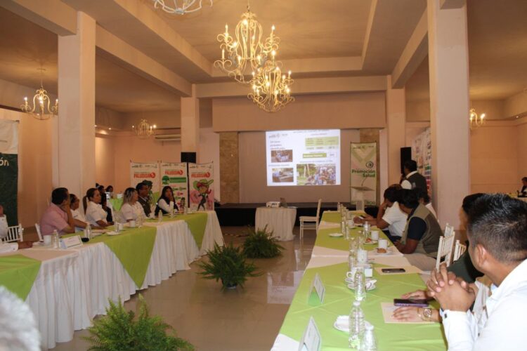 DENGUE REGISTRA REDUCCIÓN DEL 94 POR CIENTO EN LA HUASTECA