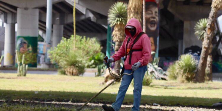 Gobierno de la Capital realiza limpieza integral en la Glorieta Juárez