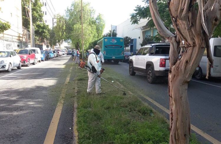 Trabajos diurnos y nocturnos refuerzan la limpieza de principales avenidas de San Luis Capital