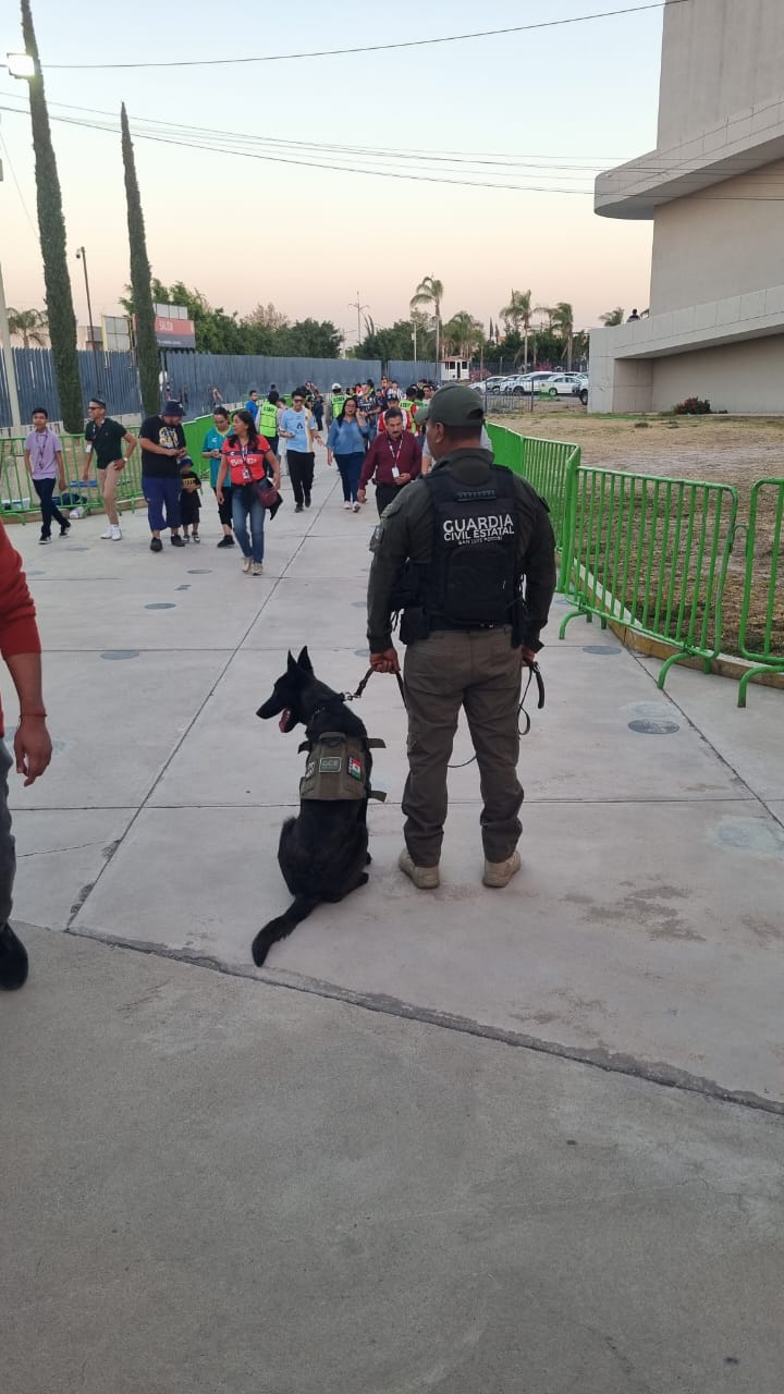 KILLIAN, EL LOMITO MÁS JUGUETÓN DEL AGRUPAMIENTO K9