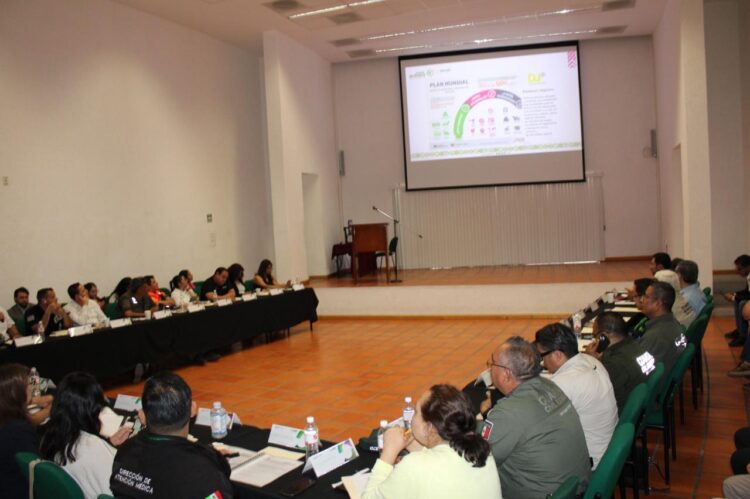 SERVICIOS DE SALUD MANTIENEN ESTRATEGIA PARA PREVENIR ACCIDENTES VIALES