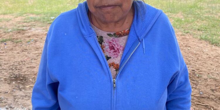 ADULTOS MAYORES APRENDEN A MANEJAR PARA GANAR INDEPENDENCIA Y SEGURIDAD