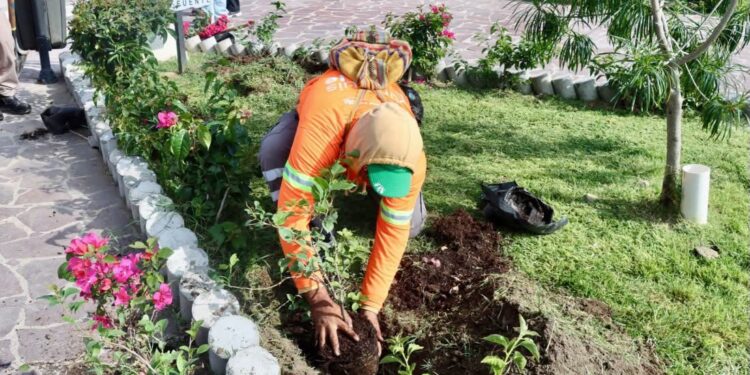 San Luis Capital, primer lugar nacional por el cuidado de parques y jardines: Inegi