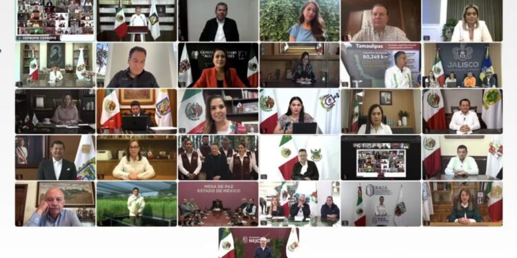 SAN LUIS POTOSÍ PARTICIPARÁ EN LA JORNADA NACIONAL DE REFORESTACIÓN
