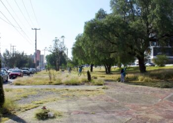 Gobierno de la Capital intensifica mantenimiento en la Calzada de Guadalupe y avenida Salvador Nava