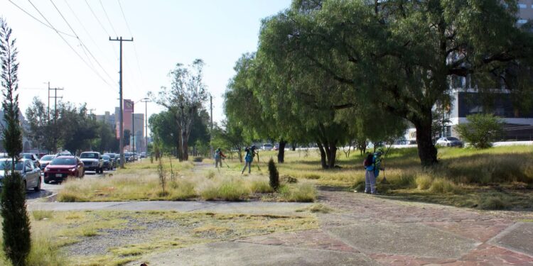 Gobierno de la Capital intensifica mantenimiento en la Calzada de Guadalupe y avenida Salvador Nava