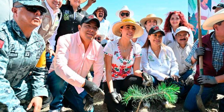 EL GOBERNADOR RICARDO GALLARDO CONSOLIDA REFORESTACIÓN Y PROTECCIÓN AMBIENTAL EN SLP