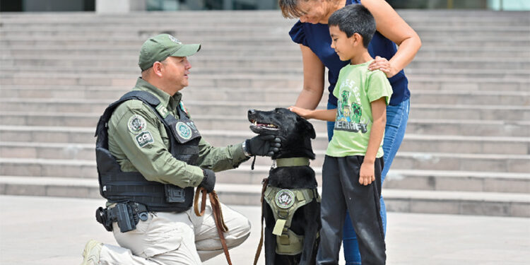 RECONOCE GOBIERNO DE MÉXICO A SAN LUIS POTOSÍ POR REDUCCIÓN DE HOMICIDIOS DOLOSOS