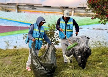 Rehabilita Gobierno Municipal áreas verdes en la intersección de Av. Salvador Nava y Av. Juárez