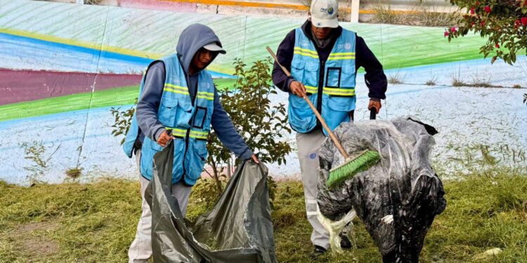 Rehabilita Gobierno Municipal áreas verdes en la intersección de Av. Salvador Nava y Av. Juárez