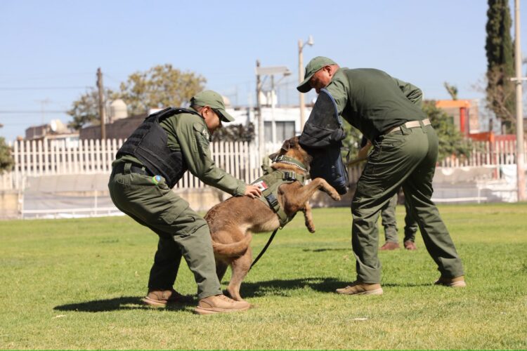 ESTRATEGIA INTEGRAL IMPULSA LA PREVENCIÓN, PROXIMIDAD Y SEGURIDAD EN SLP