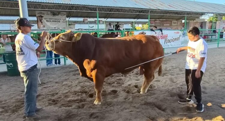 RICARDO GALLARDO CELEBRARÁ EL “DÍA DEL GANADERO” CON MÁS APOYOS PARA LA GANADERÍA Y EL CAMPO POTOSINO