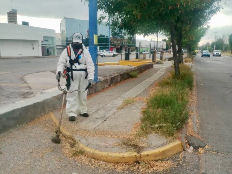 Gobierno de la Capital da mantenimiento a la avenida Salvador Nava