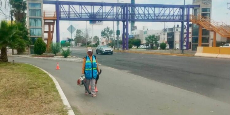 Gobierno de la Capital da mantenimiento a la avenida Salvador Nava