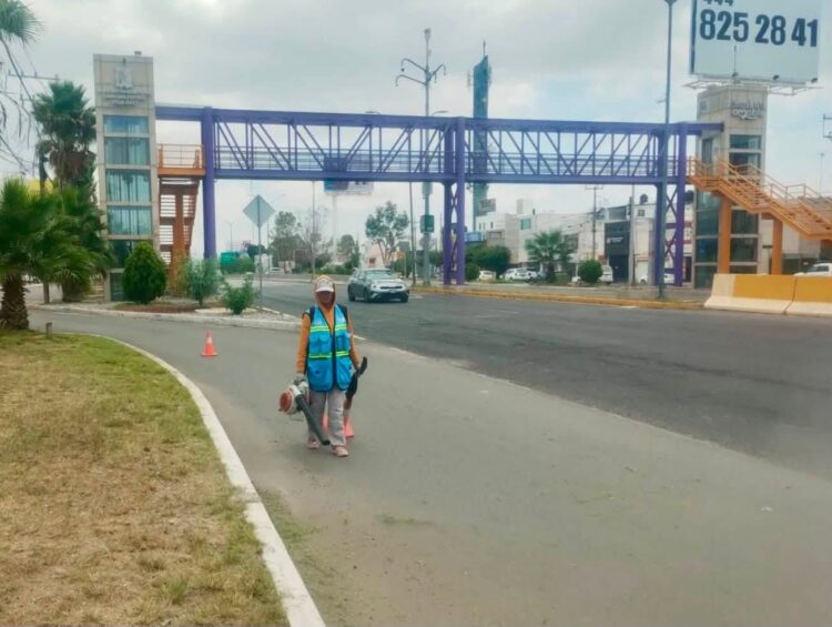 Gobierno de la Capital da mantenimiento a la avenida Salvador Nava