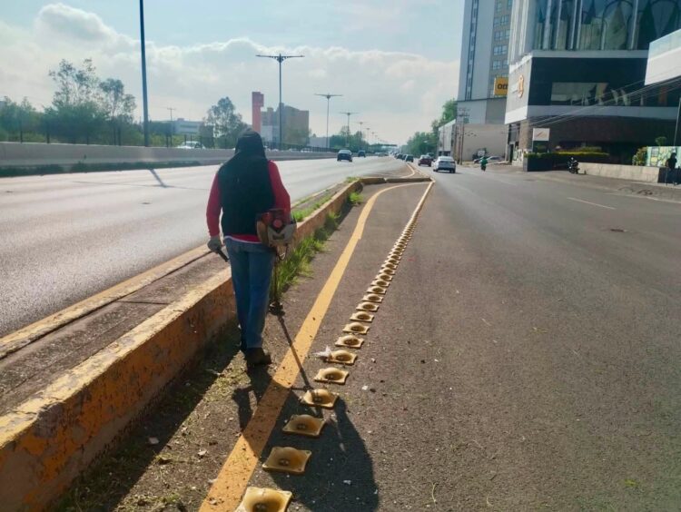 Gobierno de la Capital da mantenimiento a la avenida Salvador Nava