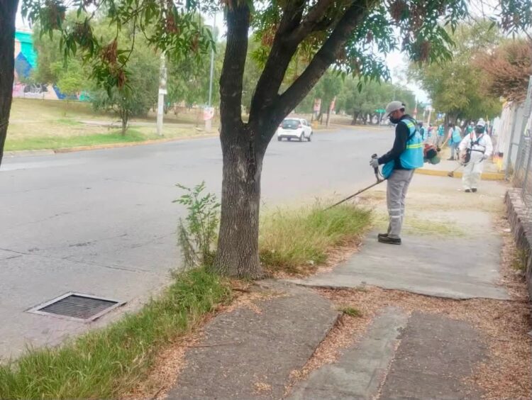 Gobierno de la Capital da mantenimiento a la avenida Salvador Nava