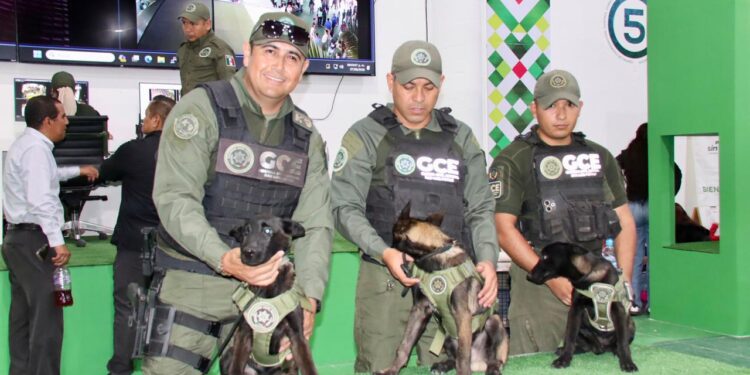 STAND DE SEGURIDAD COMBINA PREVENCIÓN, TECNOLOGÍA Y DIVERSIÓN EN LA FENAPO