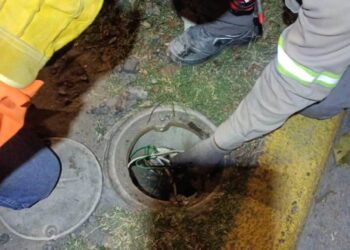 Ayuntamiento de SLP repara faroles dañados por vandalismo en avenida Carranza