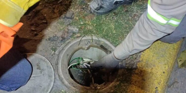 Ayuntamiento de SLP repara faroles dañados por vandalismo en avenida Carranza