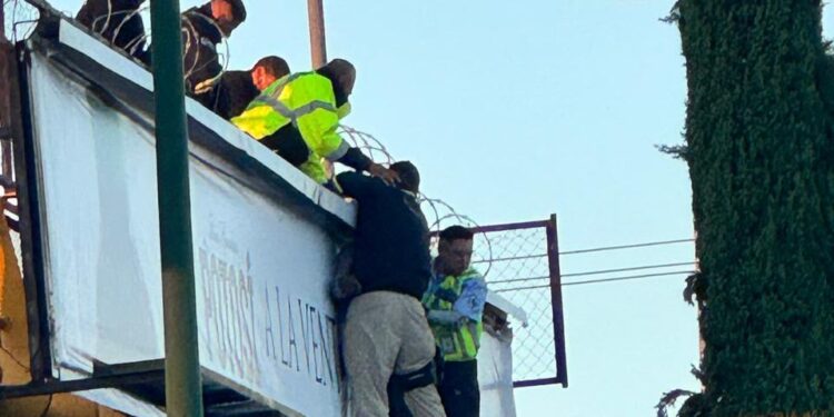 Policía Vial evita que un hombre se arroje de puente peatonal en Carretera 57