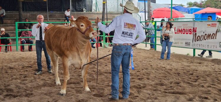 GOBIERNO DEL ESTADO RECONOCE A LO MEJOR DEL GANADO LIMOUSIN DE MÉXICO EN FENAPO 2026