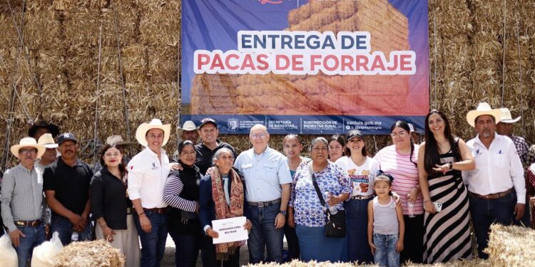 Entrega Gobierno Municipal de Enrique Galindo 980 pacas de forraje para impulsar a productores pecuarios de la Capital