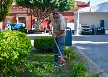Plazas del Centro Histórico de San Luis Capital lucen jardines cuidados