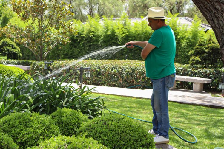 PARQUE JAPONÉS DEL TANGAMANGA I RECIBE MANTENIMIENTO INTEGRAL