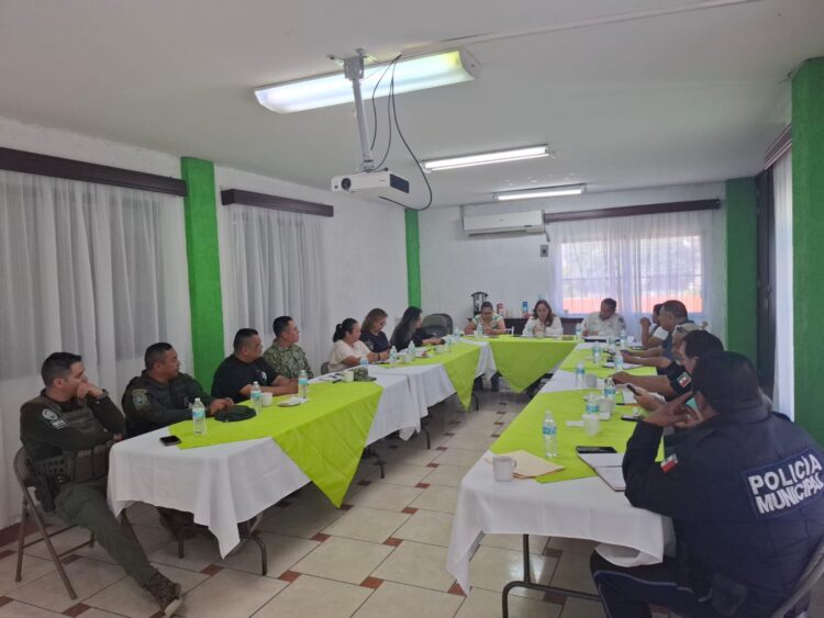 CONSEJOS MUNICIPALES DAN SEGUIMIENTO PERMANENTE A LA SEGURIDAD EN LOS 59 MUNICIPIOS