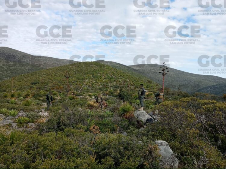 DA RESULTADOS OPERATIVO DE LA SSPC POR TIERRA Y AIRE EN EL ALTIPLANO