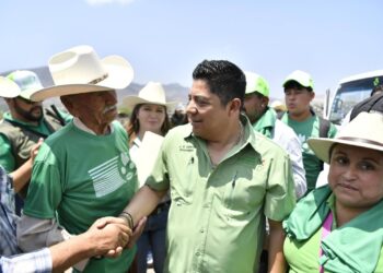 SAN LUIS POTOSÍ, LÍDER NACIONAL EN VALOR DE PRODUCCIÓN DE TOMATE