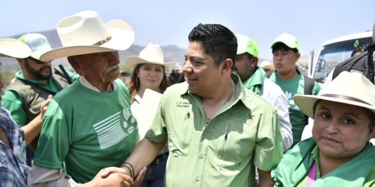 SAN LUIS POTOSÍ, LÍDER NACIONAL EN VALOR DE PRODUCCIÓN DE TOMATE