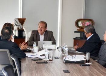 PLAN 10 DE 10 PREPARA A MIPYMES POTOSINAS PARA INTEGRARSE A GRANDES CADENAS DE VALOR