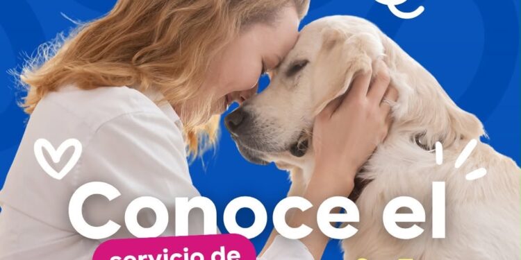 Ofrece Gobierno de San Luis Capital servicio de cremación para perros y gatos