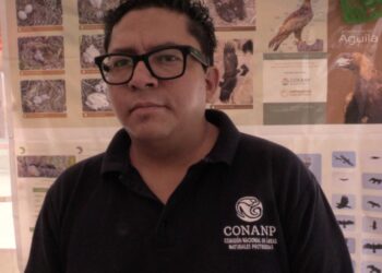 ÁGUILA REAL Y UNA ESTUFA AHORRADORA DE LEÑA, EL HERMANAMIENTO ENTRE ÁREAS NATURALES PROTEGIDAS EN VILLA DE REYES