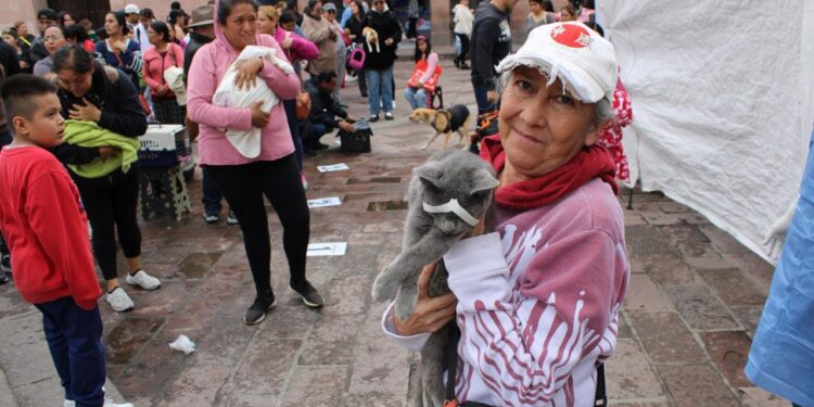 🐾 Hoy realizamos más de 200 esterilizaciones gratuitas en una sola jornada.
