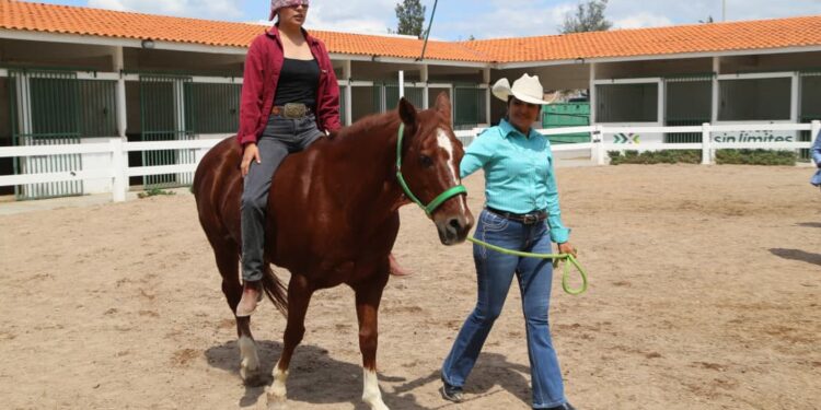 DIF ESTATAL REÚNE A ESPECIALISTAS DEL PAÍS EN CERTIFICACIÓN DE EQUINOTERAPIA