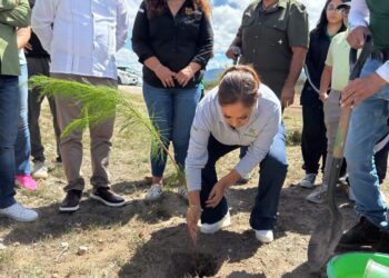 GOBIERNO DEL ESTADO COORDINA PROYECTOS PARA MEJORAR LA CALIDAD DEL AIRE