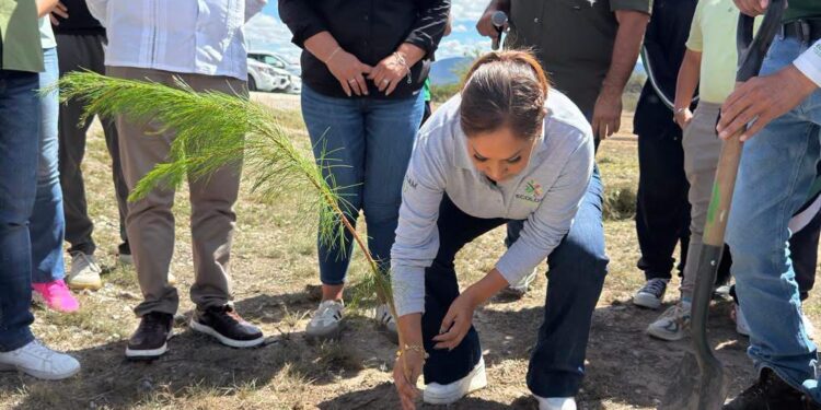 GOBIERNO DEL ESTADO COORDINA PROYECTOS PARA MEJORAR LA CALIDAD DEL AIRE