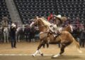 CHARRAS RG2 AVANZAN A SEMIFINALES Y SAN LUIS POTOSÍ RECIBE A LOS MEJORES CHARROS COMPLETOS