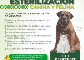 MEGA JORNADA GRATUITA REALIZA 275 ESTERILIZACIONES DE PERROS Y GATOS EN SAN LUIS POTOSÍ